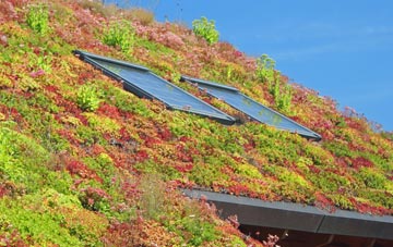 Preston Gubbals living roof systems